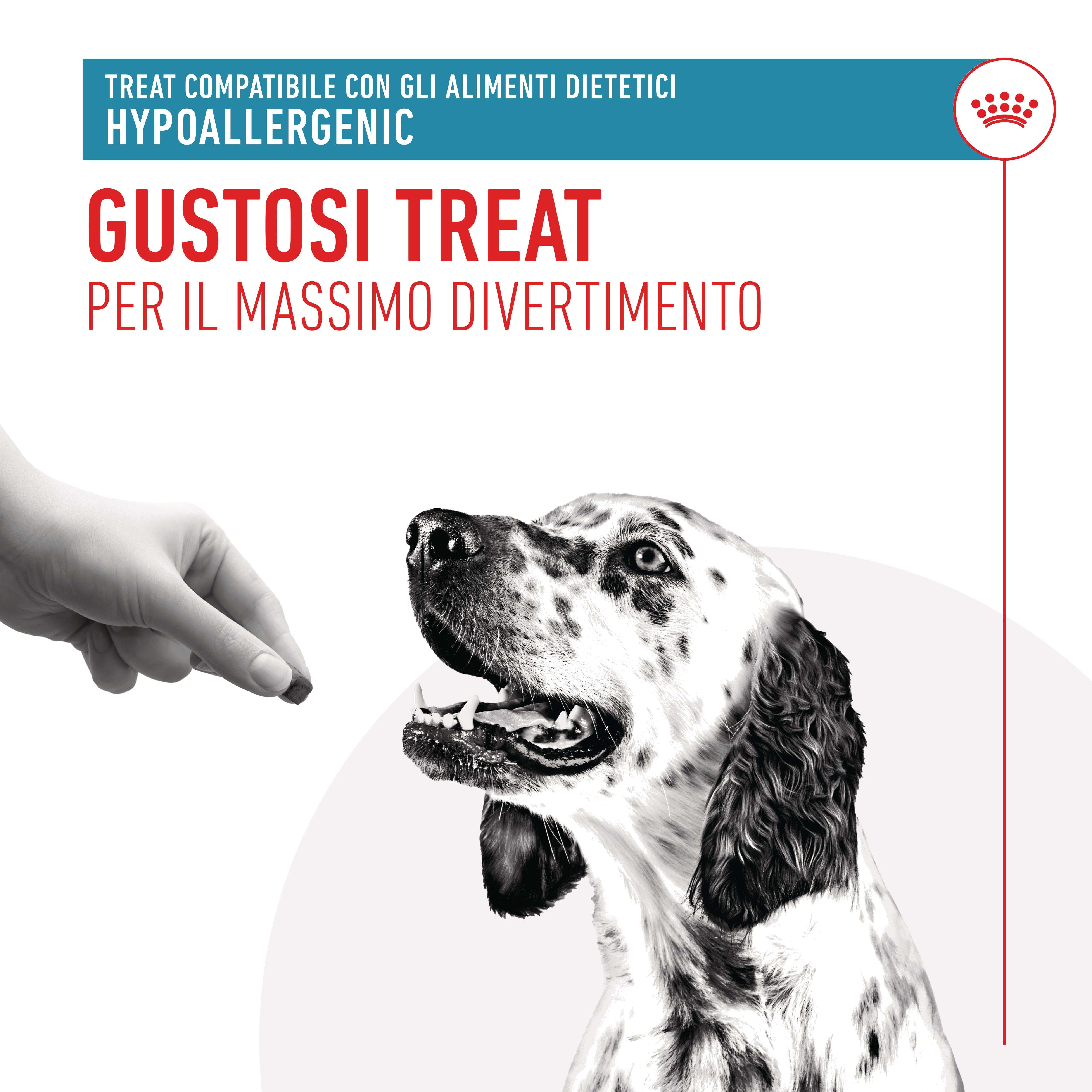 ROYAL CANIN Hypoallergenic Dog Treats 230g ROYAL CANIN Hypoallergenic Dog Treats 230g